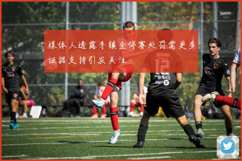 媒体人透露李镇全停赛处罚需更多证据支持引发关注
