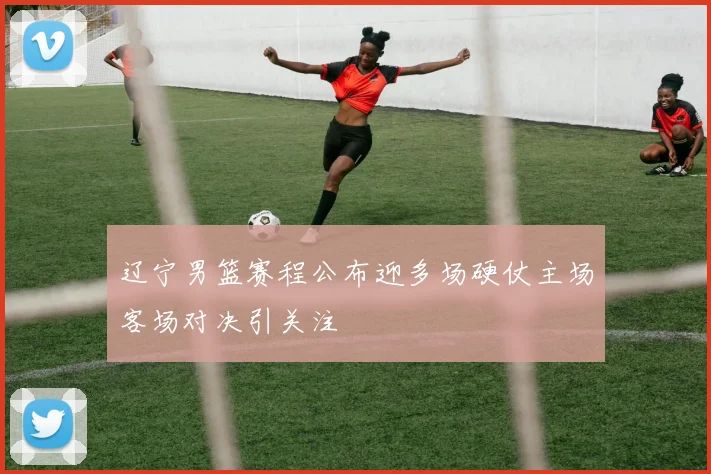 辽宁男篮赛程公布迎多场硬仗主场客场对决引关注