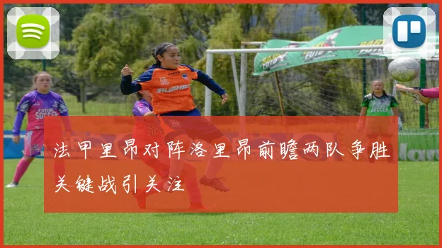 法甲里昂对阵洛里昂前瞻两队争胜关键战引关注