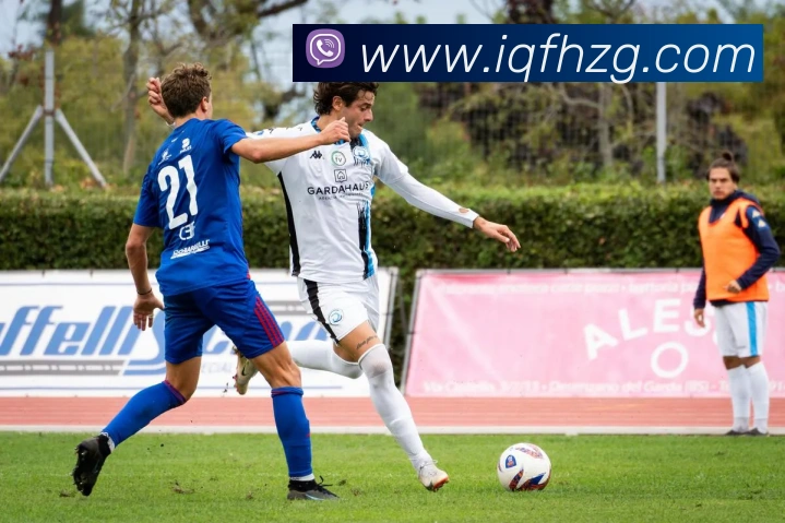 九游j9官网直达服务体系